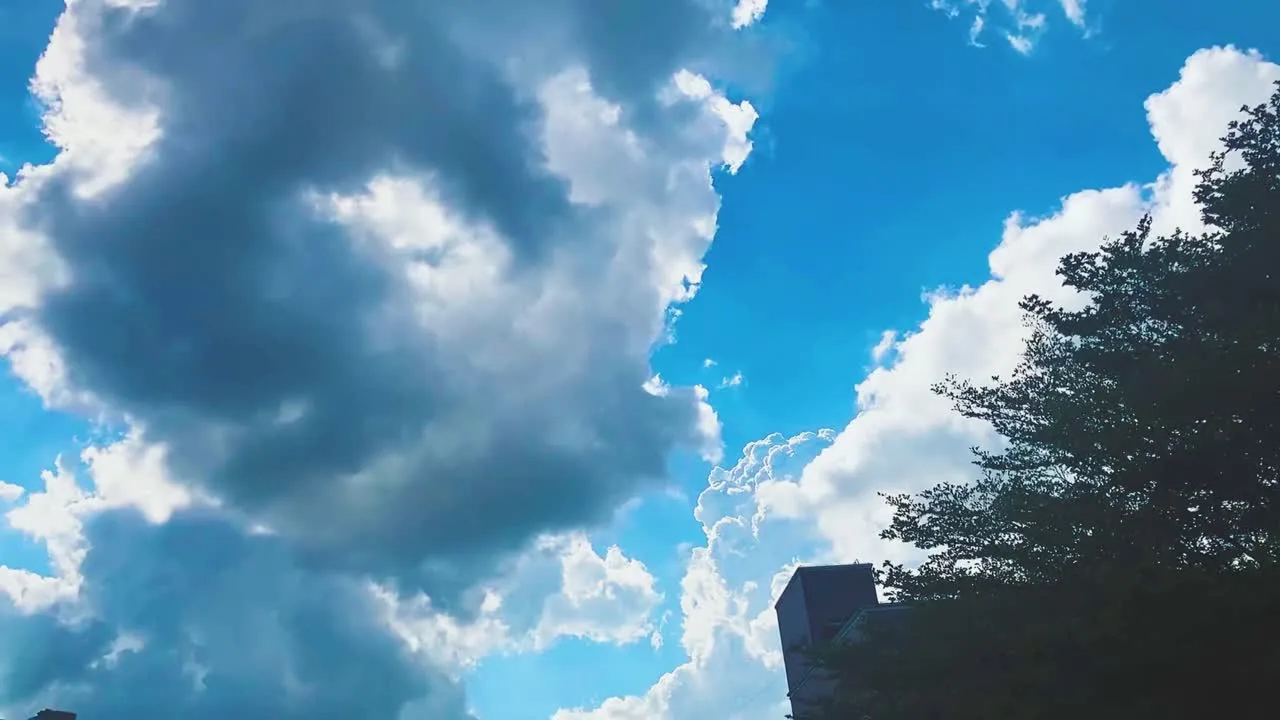 柒柒要乖哦 cosplay album Qiqi Yao Guai Oh - Cool Summer Poolside - Video 72