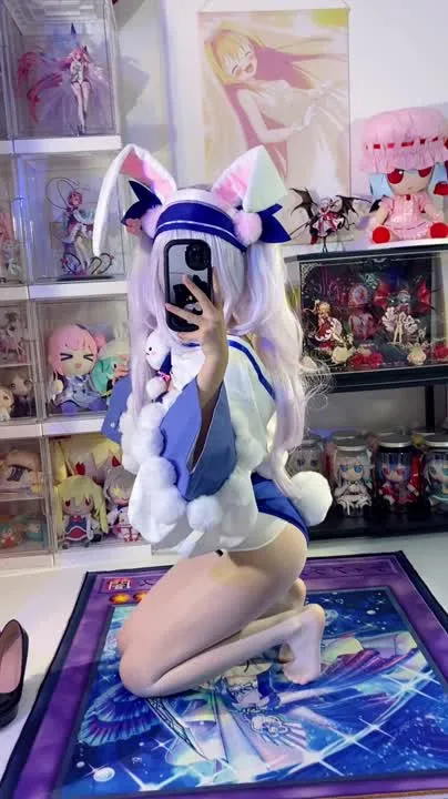 白栎Shirly cosplay album Shirly bilang Lafite 2 - Azur Lane Bunny Cosplay - Video 150