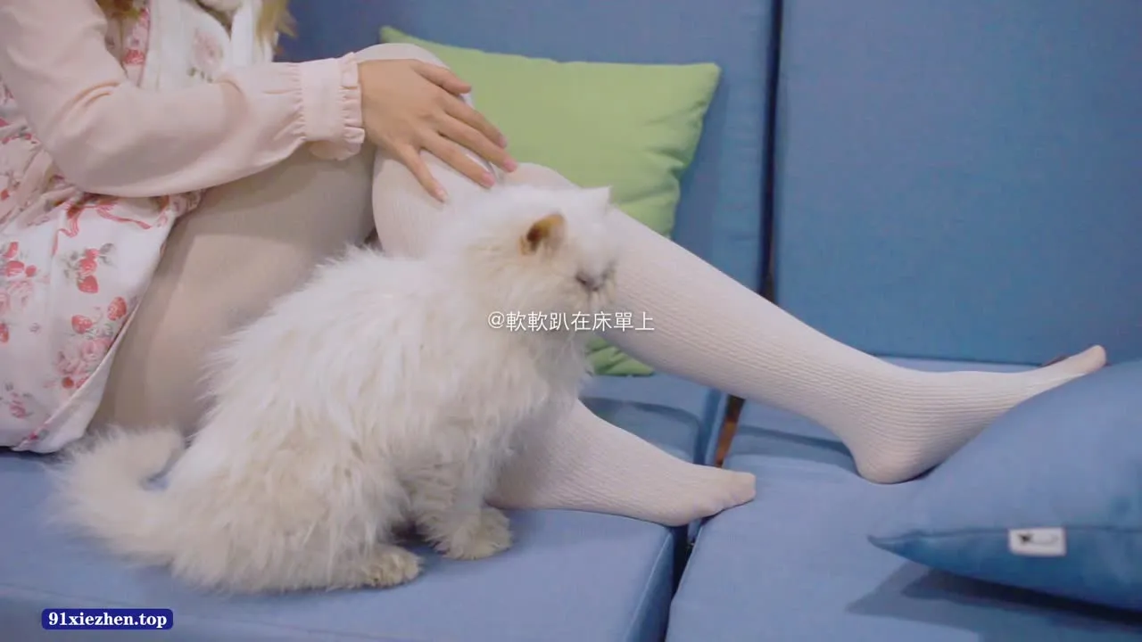 铃木美咲 cosplay album Misaki Suzuki - Cuộc sống đầy tớ xấu hổ tại quán cà phê - Video 54