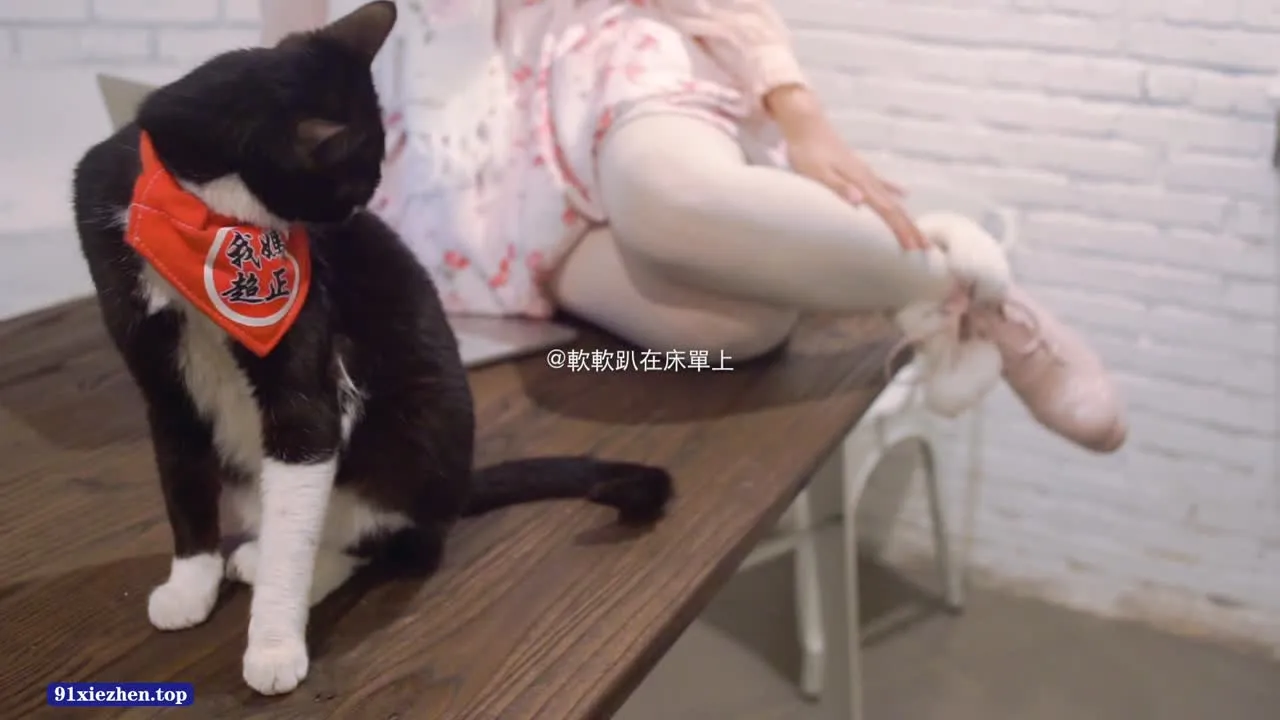 铃木美咲 cosplay album Misaki Suzuki - Cuộc sống đầy tớ xấu hổ tại quán cà phê - Video 56
