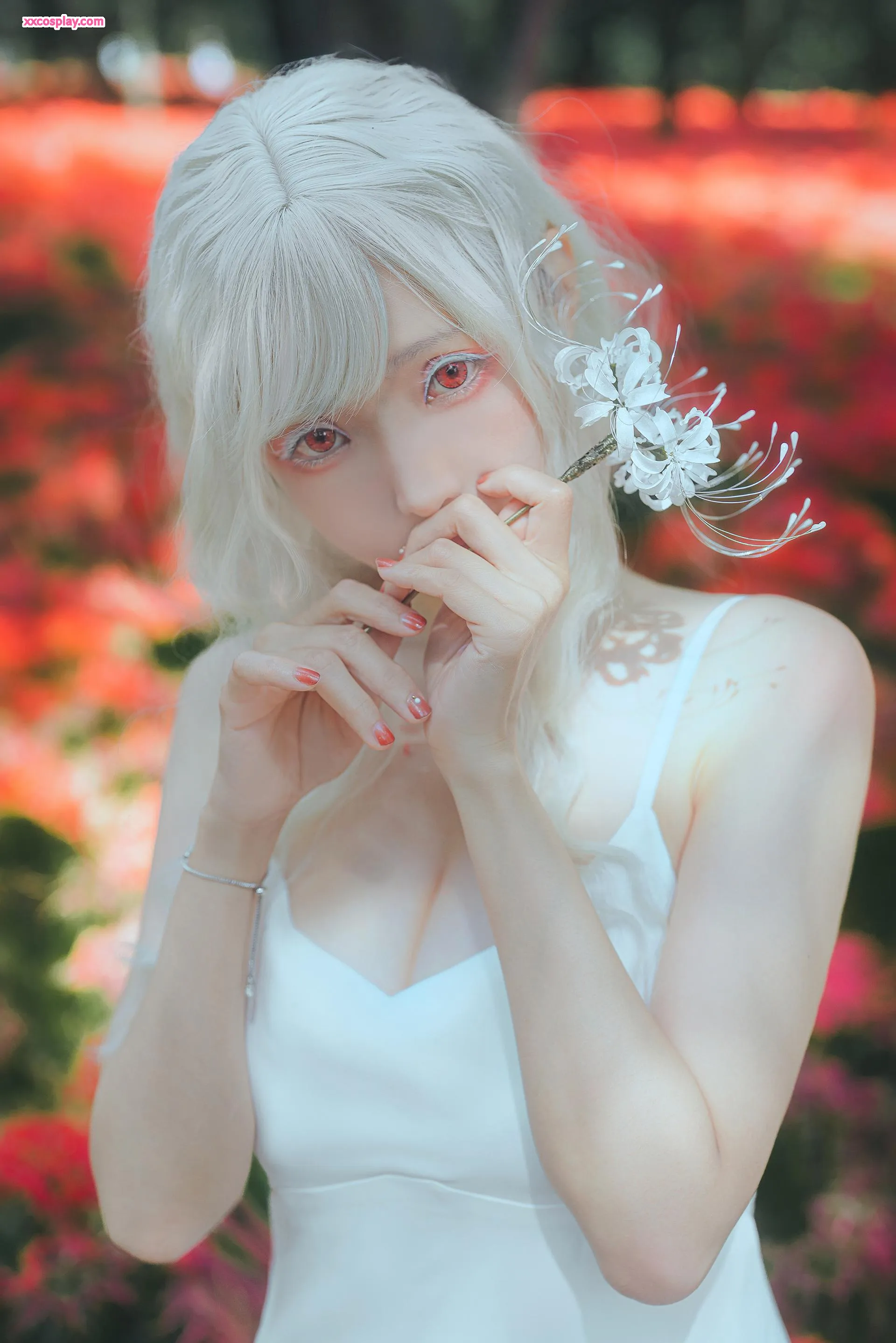 ElyEE子 白い彼岸花