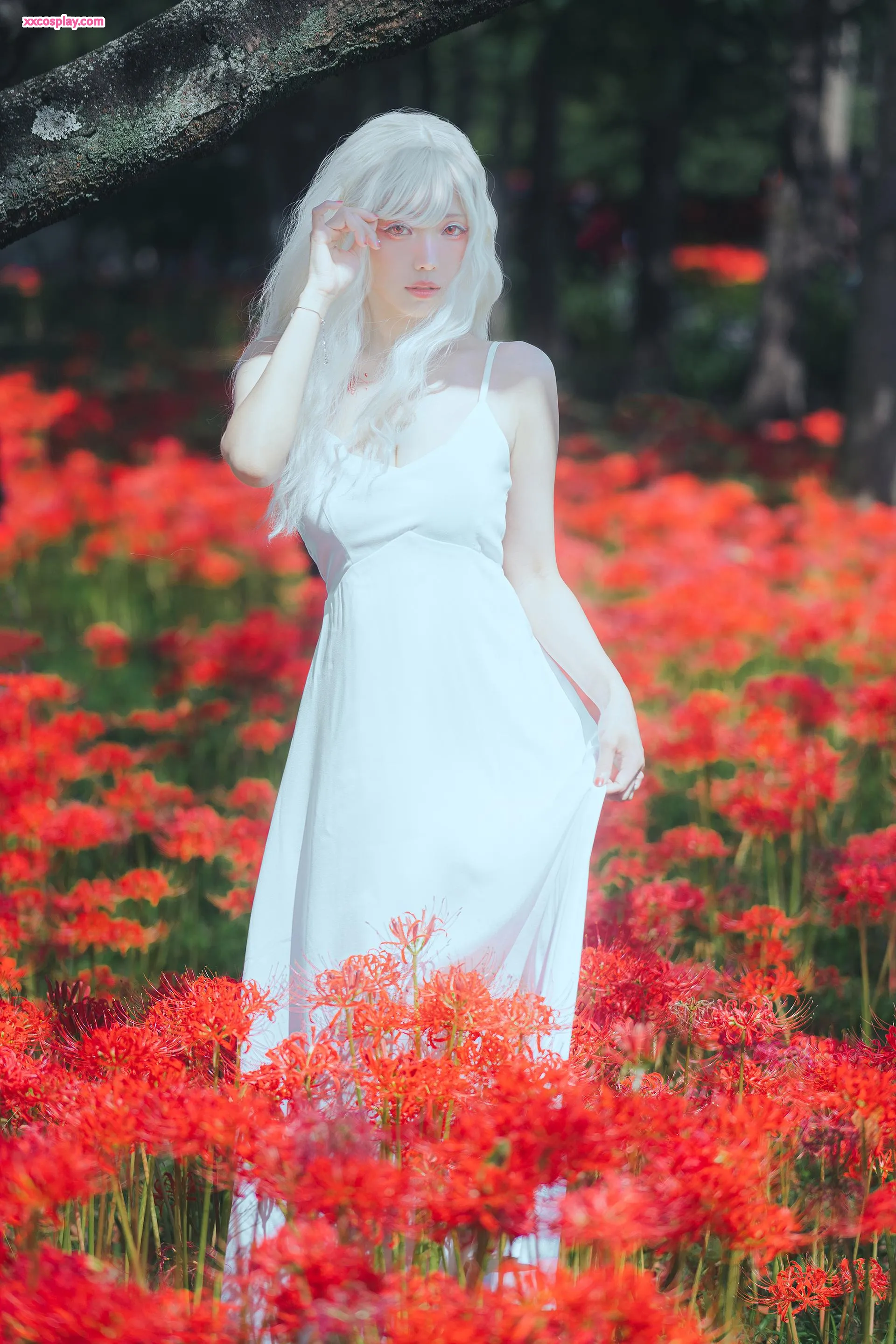 ElyEE子 - B-White Spider Lily