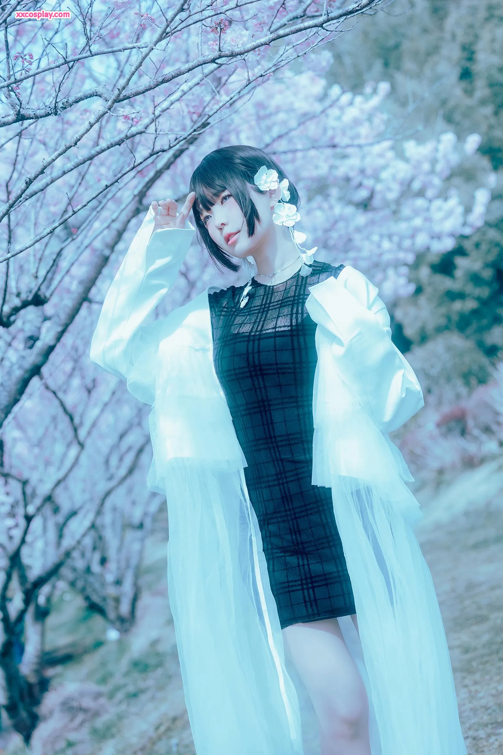 ElyEE子 – 17°C Pink Sakura