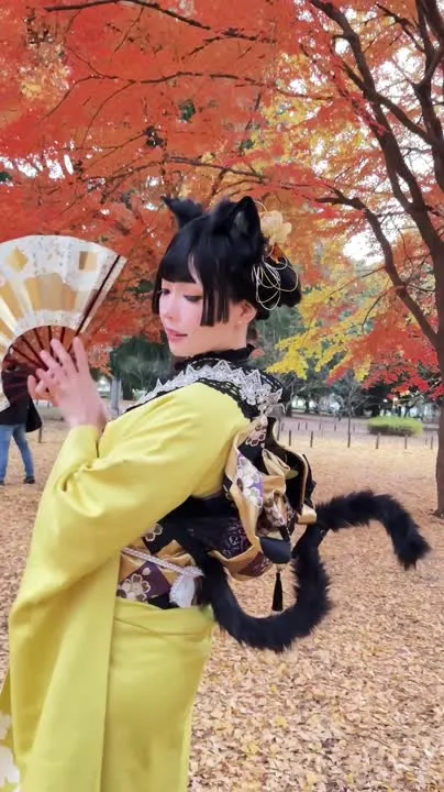 ElyEE子 cosplay album ElyEE子 Ginkgo Black Cat - Video 25
