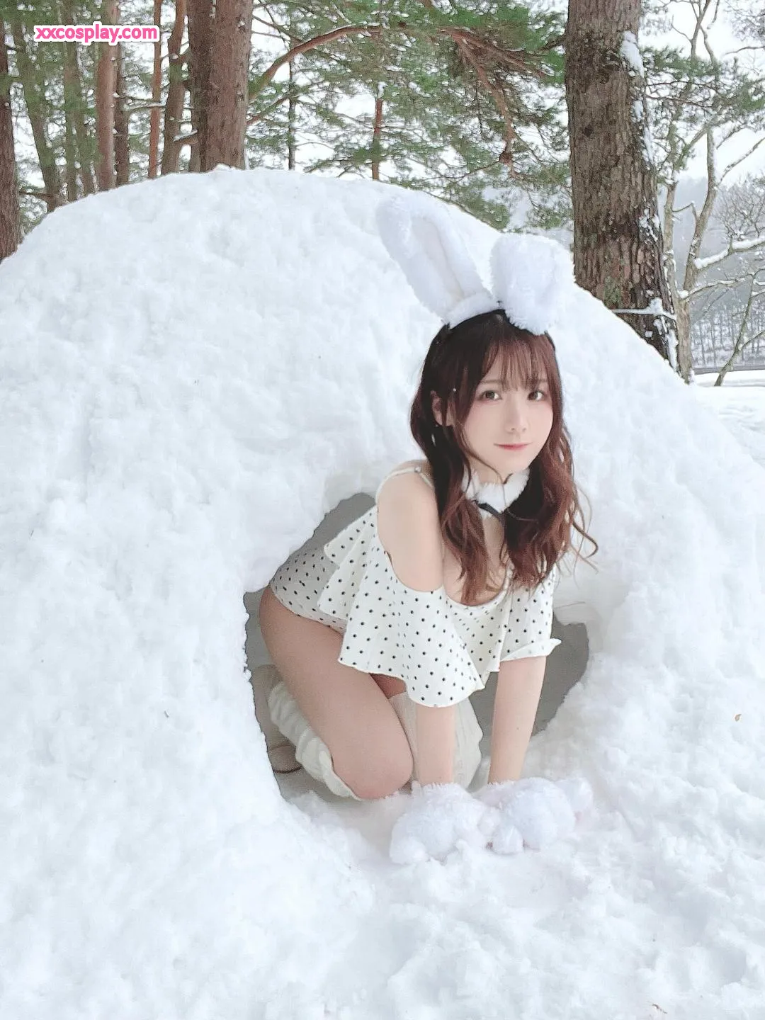 KenKen：雪の白うさぎ