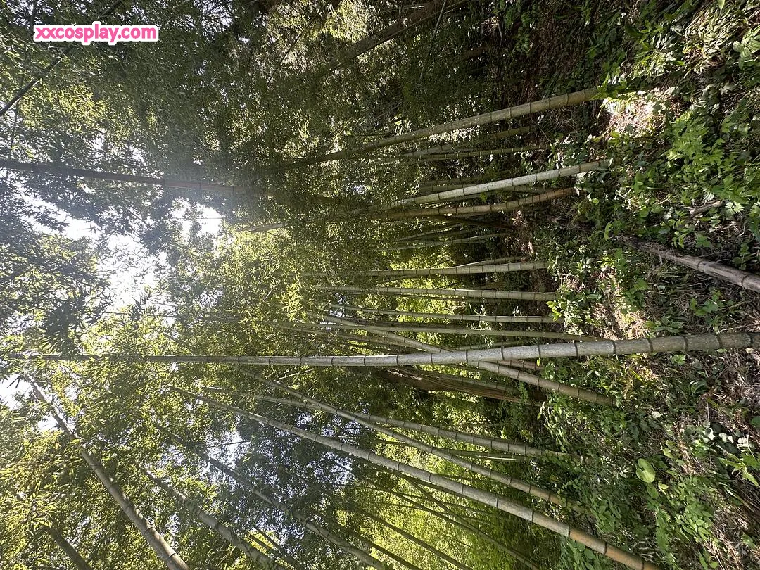 KenKen's May Bamboo Planting & Casual Daily Moments