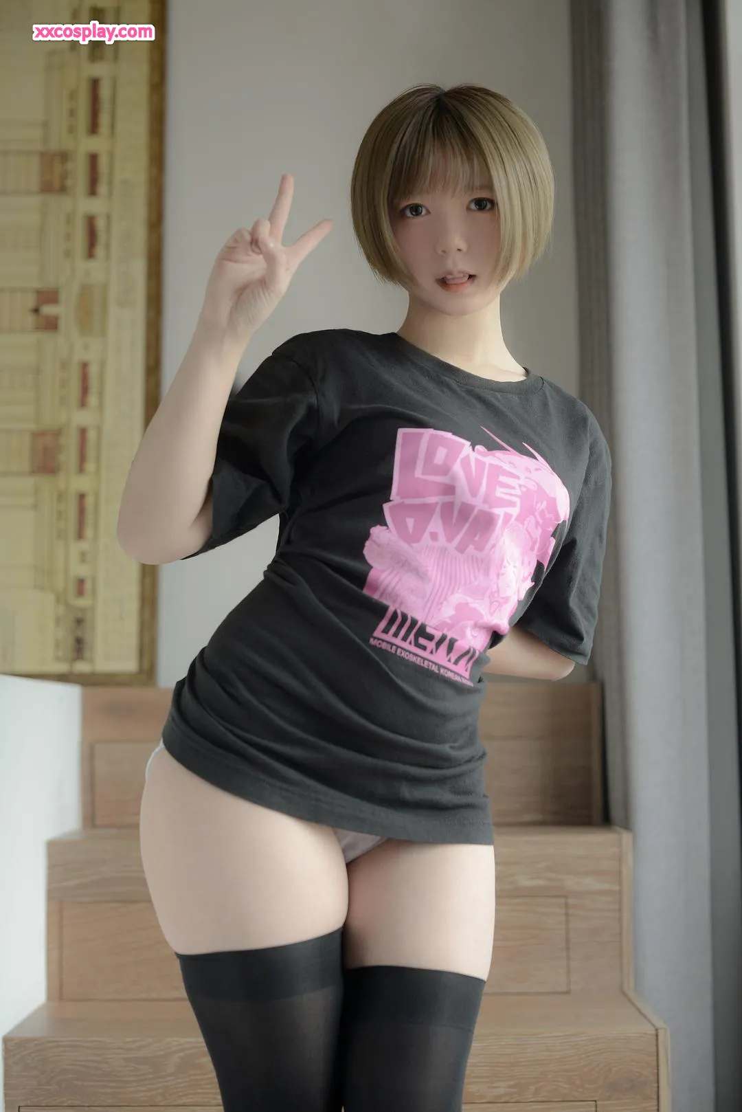 Nikumikyo D.Va Overwatch Áo thun Gravure